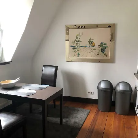 Ferienwohnung In Historischem Gebaude In Der Fussgangerzone In Appartement